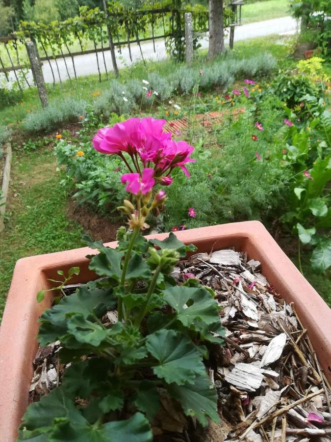 Ruralna Kuca Za Odmor Pozojova Hiza - Rural Holiday House Lopatinec Екстериор снимка