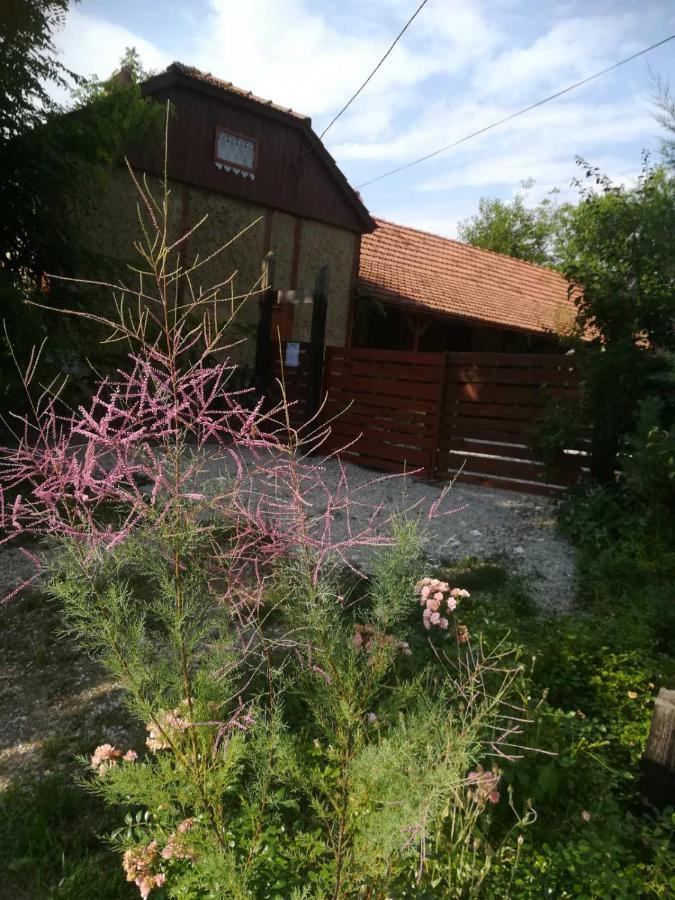 Ruralna Kuca Za Odmor Pozojova Hiza - Rural Holiday House Lopatinec Екстериор снимка
