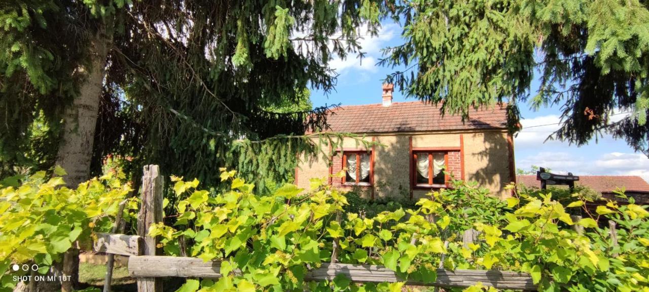 Ruralna Kuca Za Odmor Pozojova Hiza - Rural Holiday House Lopatinec Екстериор снимка