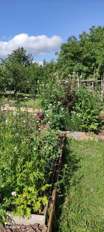 Ruralna Kuca Za Odmor Pozojova Hiza - Rural Holiday House Lopatinec Екстериор снимка