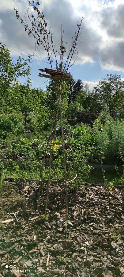 Ruralna Kuca Za Odmor Pozojova Hiza - Rural Holiday House Lopatinec Екстериор снимка