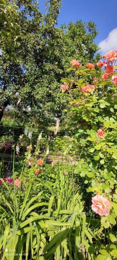 Ruralna Kuca Za Odmor Pozojova Hiza - Rural Holiday House Lopatinec Екстериор снимка