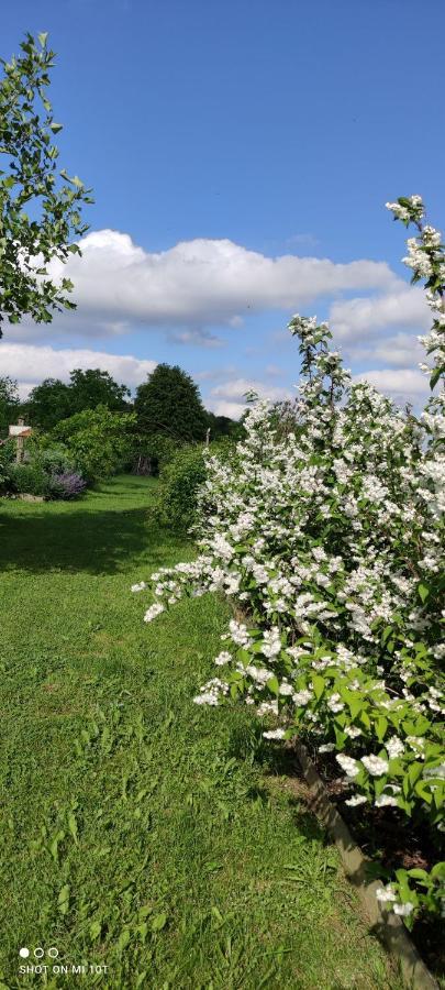 Ruralna Kuca Za Odmor Pozojova Hiza - Rural Holiday House Lopatinec Екстериор снимка